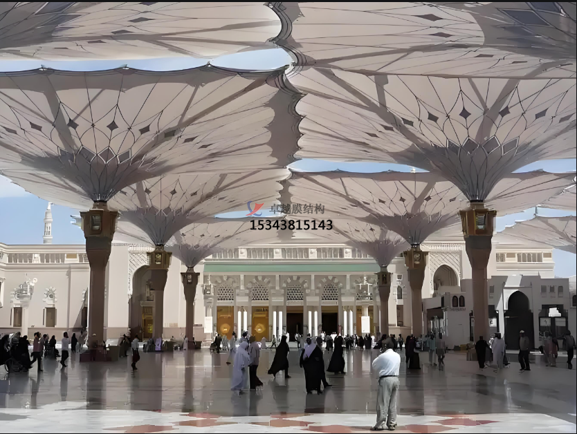 PTFE網(wǎng)格膜，有哪些類別呢？